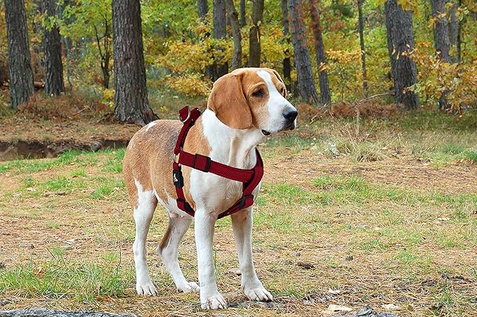 Kruz No Pull Dog Harness (Chest 21”-30”, Weight 22-53 lbs) Heavy-Duty Pet Harness for Medium Breeds, Ultra-Comfort Fit, Lifetime Durability, Adjustable Dog Harness No Pull Design (Red, Medium)