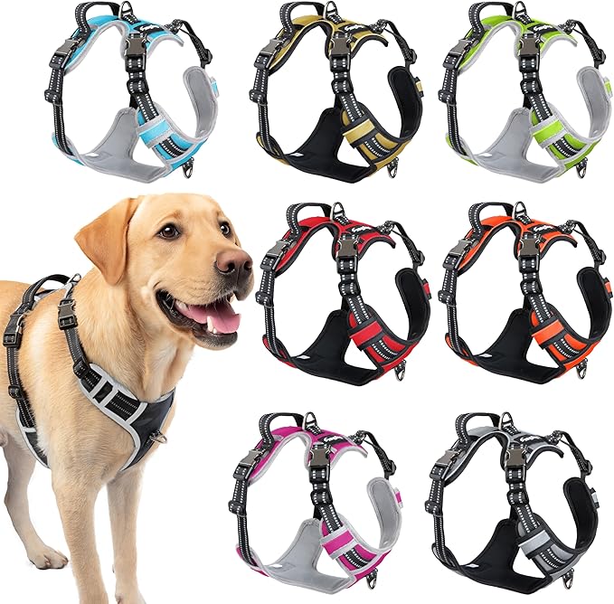 Step in Dog Harness for Large Dogs, Black, Adjustable, Easy On Off, No Pull Through Design, 2 Dog Leash Points, 3M Reflective Trim, Neoprene Padded Control Handle