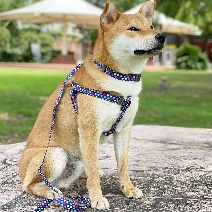 Blueberry Pet Valentine's Day Dog Leash, Velvety Soft-Touch Heart Flocking Lead for Medium Dogs, Rainbow Polka Dots, 5 ft x 3/4"