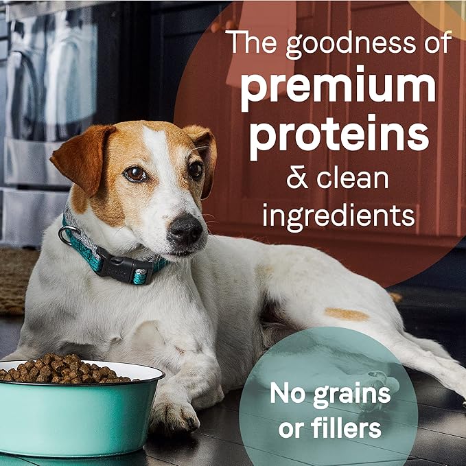 Canidae Pure Limited Ingredient Premium Adult Dry Dog Food, Real Duck & Sweet Potato Recipe, 22 lbs, Grain Free