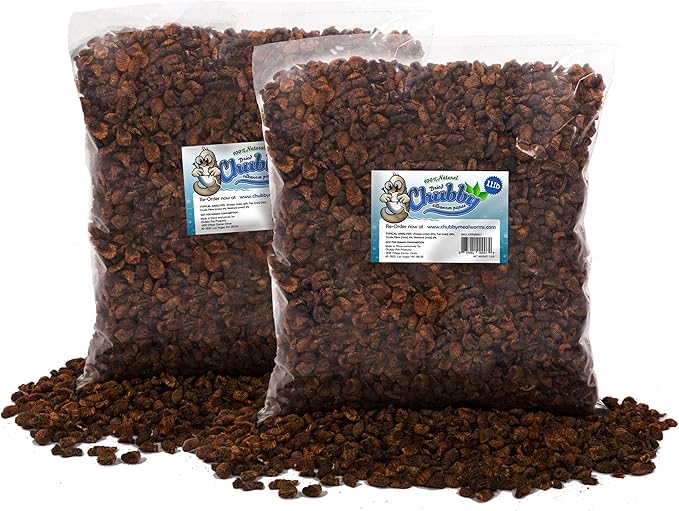 Chubby Dried Silkworm Pupae | 22?lbs | High-Protein Treat for Koi, Fish, Reptiles & Terrapins – Nutrient-Rich Calcium Snack