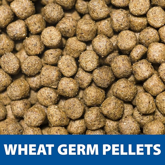 The Pond Guy Spring & Fall Wheat Germ Fish Food for Koi & Goldfish, Premium Cold Weather Floating Pellets, Healthy Formula for Winter Nutrition, 40 lbs
