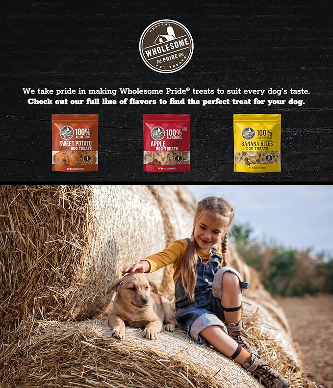 Wholesome Pride Sweet Potato Chews Dog Treats – All-Natural, Single-Ingredient, Grain-Free, 16 oz