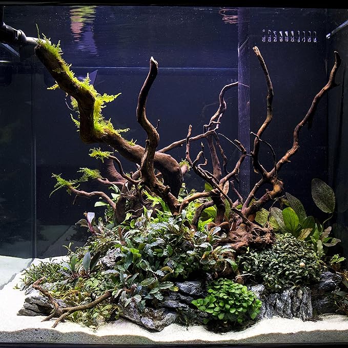 Ultum Nature Systems Driftwood - Spider Drift Wood for Fish Tank, Planted Tank, Terriarium, Paludarium - Versatile Natural Driftwood Decor, Events Wood Centerpiece - Spider Wood, L 15-20", 5 Pack
