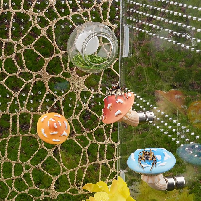 6pcs Jumping Spider Accessories Glass Ball Hide Habitat Mushroom Platform Spider Webbed Moss Ribbons Decorating Jumping Spiders Enclosure Accessories for Climbing Resting and Exploration
