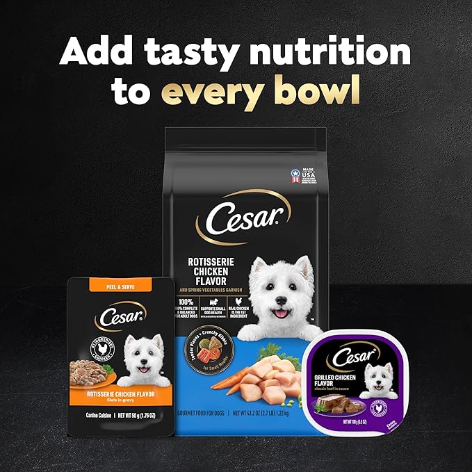 Cesar Filets in Gravy Wet Dog Food Filet Mignon Flavor and Rotisserie Chicken Flavor Variety Pack, Wet Food for Dogs, 1.76 oz. Mini-Pouches, 20 Count (Pack of 2)