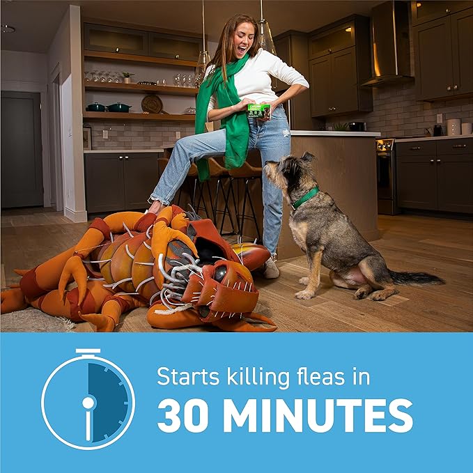 Capstar (Nitenpyram) Fast-Acting Oral Flea Treatment for Dogs 2-25 Lbs, Vet-Recommended Medication Tablets, Flea Tablets for Dogs Start Killing in 30 Minutes, 12 Doses