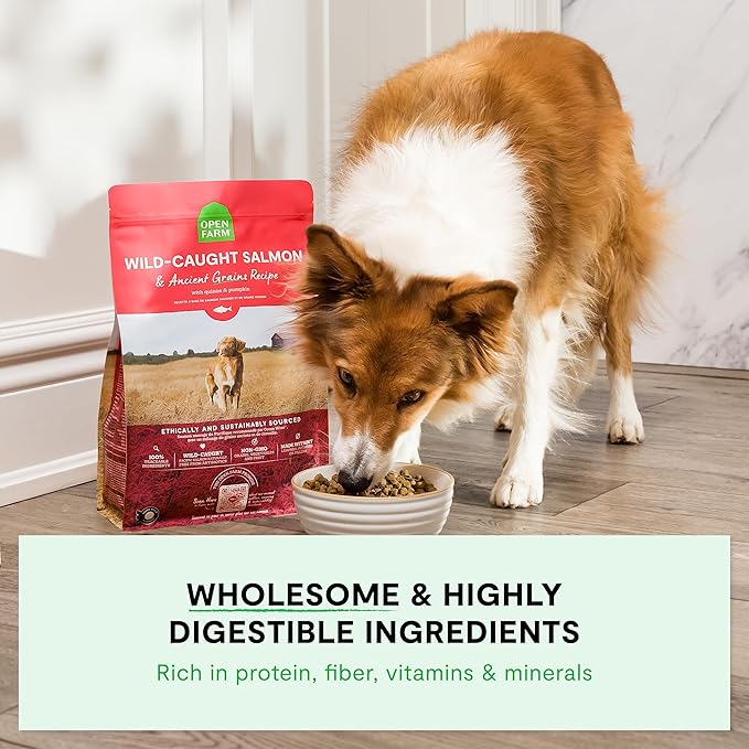 Open Farm, Ancient Grains Dry Dog Food, Protein-Rich & Nutrient Dense, 90% Animal Protein Mixed with Non-GMO Fruits, Veggies and Superfoods, Wild Caught Salmon Recipe, 4lb Bag