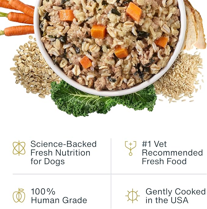 JustFoodForDogs JustFresh Wet Dog Food, Fresh Pet Meals and Toppers with No Preservatives, Resealable Package, Human Grade, Home-Cooked Turkey, 12 oz - 7 Pack