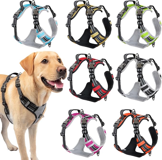 Step in Dog Harness for Medium Dogs, Silver Gray, Adjustable, Easy On Off, No Pull Through Design, 2 Dog Leash Points, 3M Reflective Trim, Neoprene Padded Control Handle