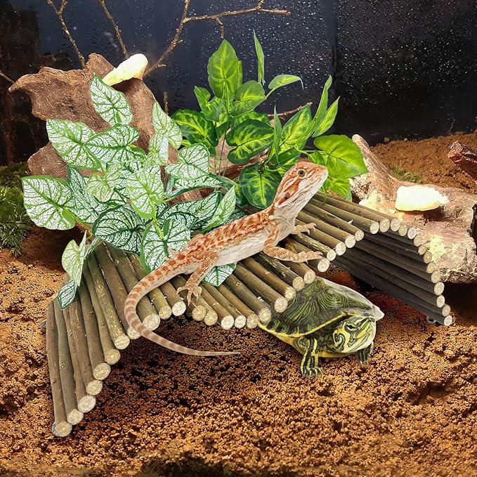 BNOSDM Large Reptile Hide Tortoise Hideout Bearded Dragon Wooden Bridge Snake Climbing Tunnel Habitat Decor for Lizards Spiders Gecko Ball Python (19.7x9 in)