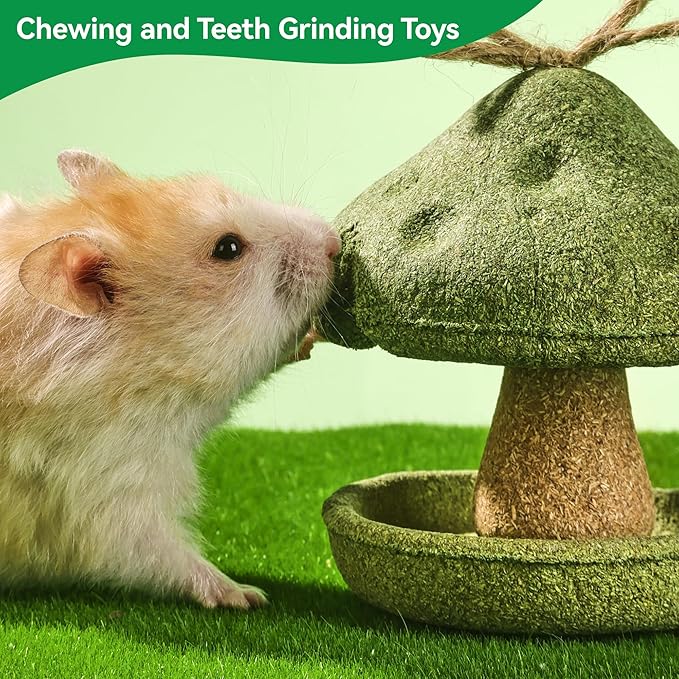 Guinea Pig Chew Toys, Prevent Teeth Overgrowth - 11oz Hamster Toys, Natural Vegetables & Timothy Grass, Cute Mushroom & Tree Shaped Habitat Decoration, Small Animal Chew Toys