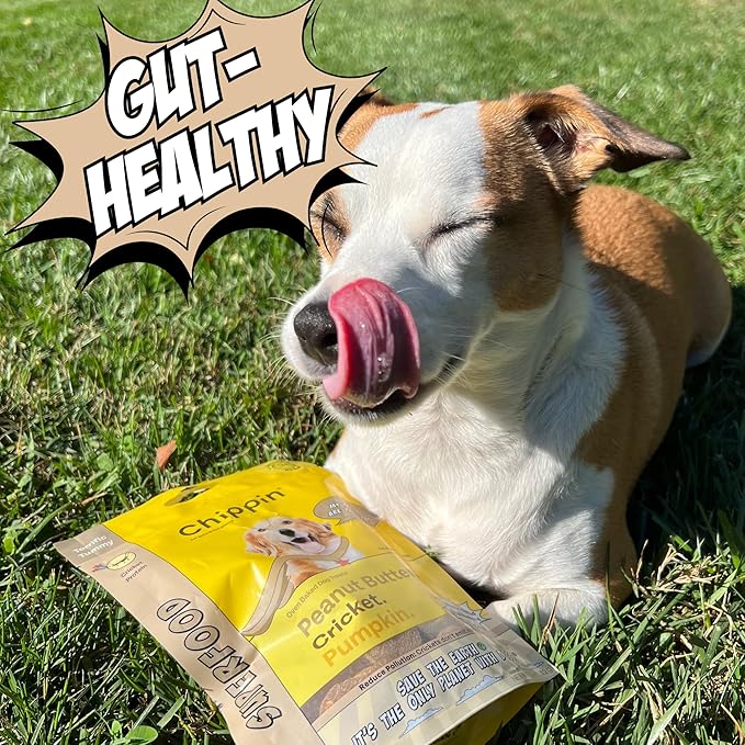 Chippin Chicken-Free, Peanut Butter Dog Treats – Sensitive Stomach & Allergy-Friendly, Puppy Training Treats, Healthy & Natural Christmas Treats for All Dogs, Easy to Digest Cricket Protein