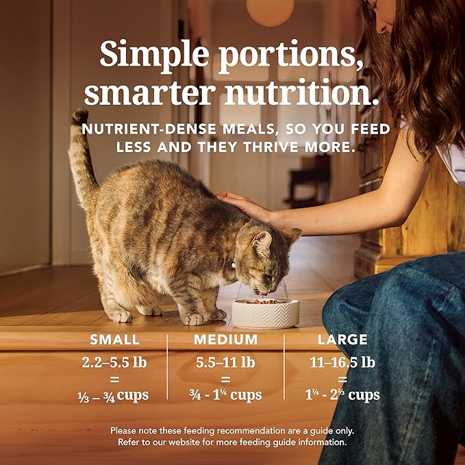 Feline Natural High Protein Dry Cat Food, Freeze-Dried Diet with 98% Meat, Organs & Seafood, No Peas, Grains, or Artificial Additives, Made in New Zealand, Beef, 11oz