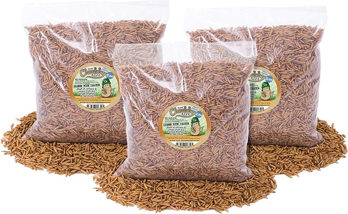 Chubby Dried Black Soldier Fly Larvae | 5 lbs | Non-GMO High-Protein Insect Treat for Chickens, Ducks & Wild Birds – Calcium-Rich Chicken Feed