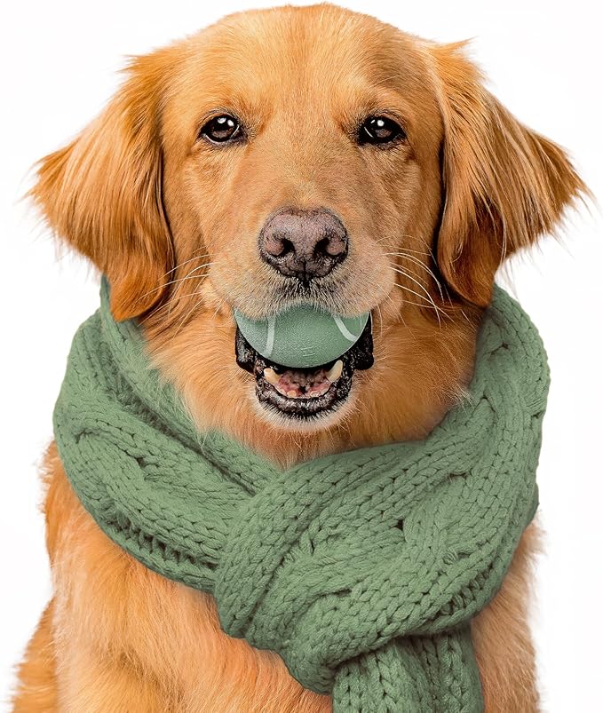 Playology Dog Toys | Squeaky Chew Ball - Bouncy Durable Floating Fetch Ball for Dogs | Medium Butternut Squash & Sage Limited Edition Fall Scented Toy - Easy to Clean and Made from Non Toxic Materials