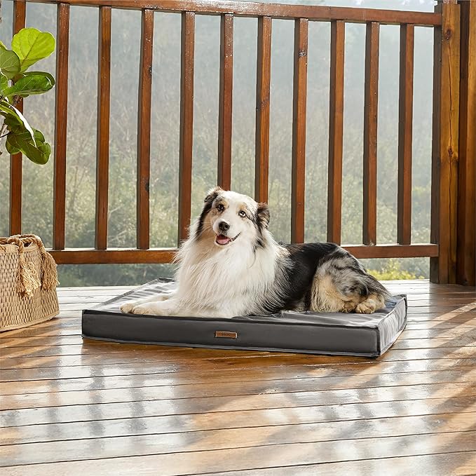 LE SURE Outdoor Waterproof Dog Bed for Large Dogs, Orthopedic Egg Crate Foam Pet Bed with Oxford Fabric Surface and Removable and Durable Cover, Machine Washable, 36''x27'', Grey