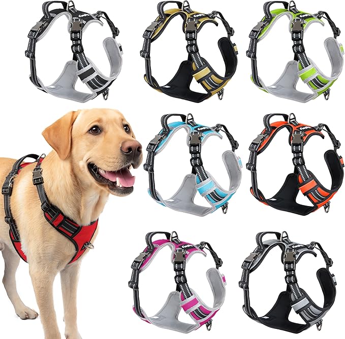 Step in Dog Harness for Medium Dogs, Ruby Red, Adjustable, Easy On Off, No Pull Through Design, 2 Dog Leash Points, 3M Reflective Trim, Neoprene Padded Control Handle