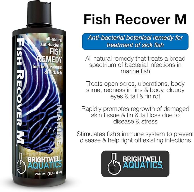 Brightwell Aquatics Fish Recover M – Botanical Remedy for Treating Marine Fish Health Issues, 500 ml