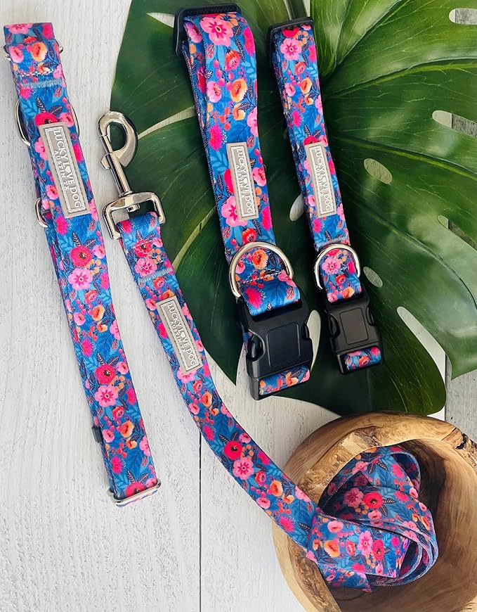 Lucky Love Dog Leash – Soft, Durable, and Comfortable Leash with Vibrant Patterns – Stylish and Long Lasting for Large Male and Female Dogs – Zuzu, Large