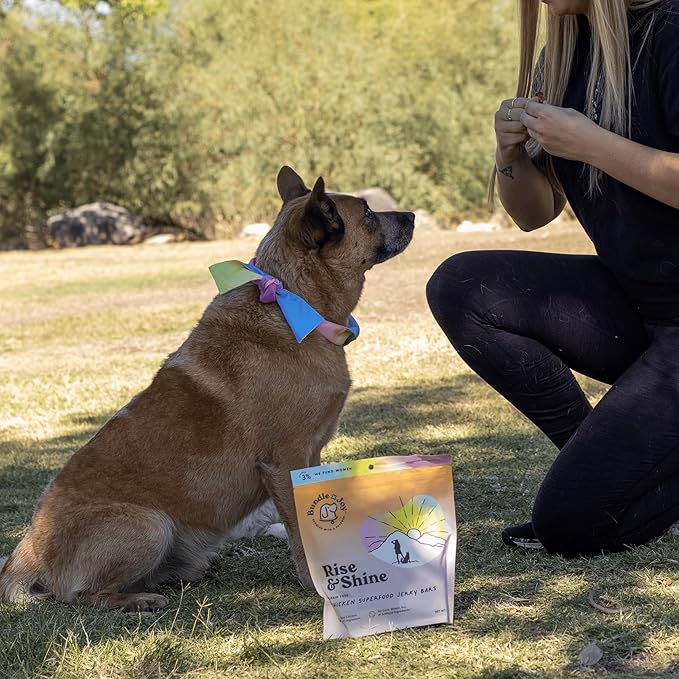 Bundle x Joy Rise & Shine Chicken Jerky Dog Treats - 16 Oz Bag, Natural Superfood - Corn, Poultry, Soy & Grain Free Dog Treats Made in USA Only