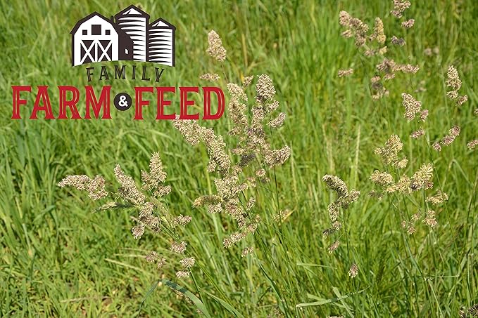 | Timothy Grass Food | Small Pet | Young and Adult | Pellets | 3 Pounds