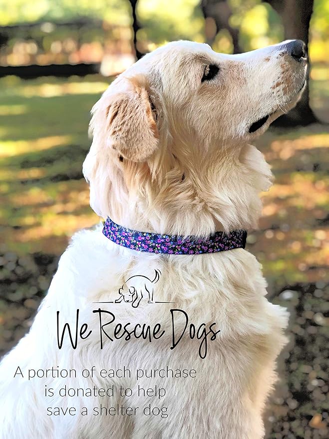 Lucky Love Dog Leash, Beautiful Vivid Patterns, Durable & Long Lasting (Primrose, Small)