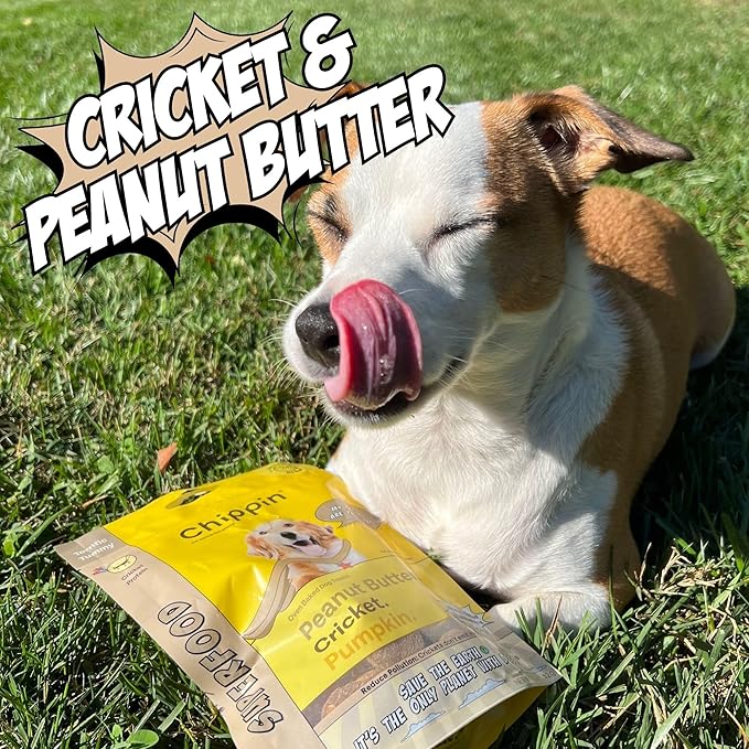 Chippin Peanut Butter Christmas Dog Treats, Chicken-Free – Sensitive-Stomach & Allergy-Friendly, Natural Healthy Puppy Training Treats, Pumpkin, Sustainable Cricket Protein, All Dog Sizes