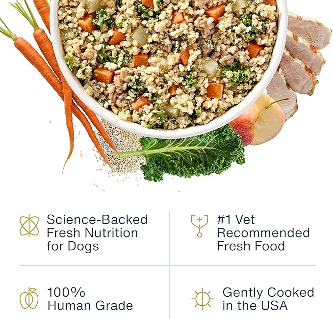 JustFoodForDogs Pantry Fresh Wet Dog Food, Complete Meal or Dog Food Topper, for Joint Health, Skin Health, Allergies, Joint & Skin Support, Pork & Quinoa - 12.5 oz (Pack of 12)