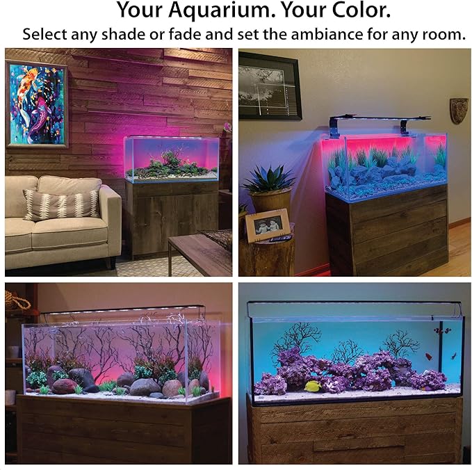 ColorCast Aquarium Background LED Light Kit with Frosted Background Film | Smartphone and Voice Control | 24/7 Timers | Alexa and Google Home | for Aquariums, Terrariums and Vivariums | 32"-48"