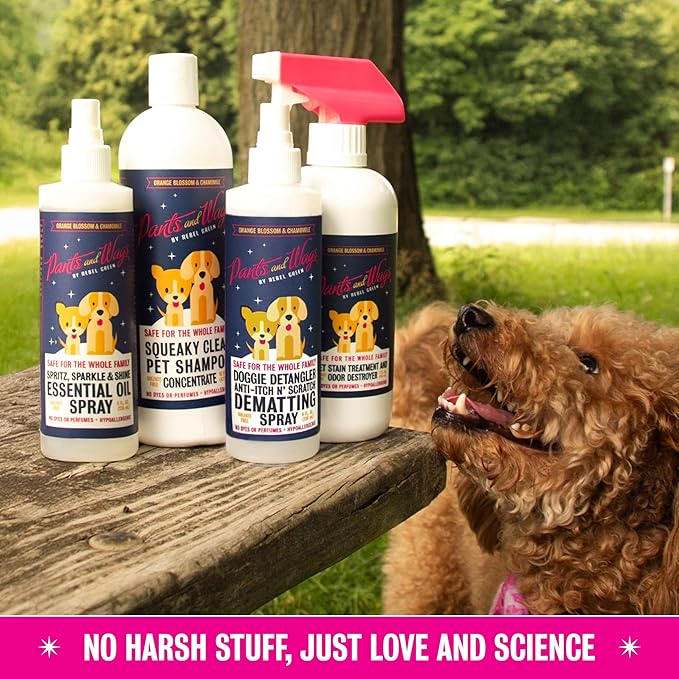 Pants and Wags by Rebel Green Squeaky Clean Pet Shampoo Concentrate - Orange Blossom & Chamomile - Hypoallergenic - No Dyes or Perfumes - 16 oz - 2 Pack