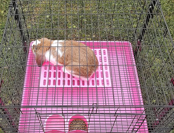 Saguaro Acres Rabbit and Small Animal Cage Resting Mat for Wire Floored Cages 2 Pack (Pink & Teal)