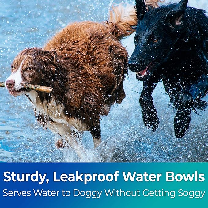 Vet-Grade, Biodegradable and Disposable Pet Bowls Bulk 50 Pk 8 Oz/1 Cup. Safe, Non-Toxic Food and Water Dishes for Puppies, Small Dogs or Cats. Convenient, Sturdy and Leakproof for Your Healthy Pets!